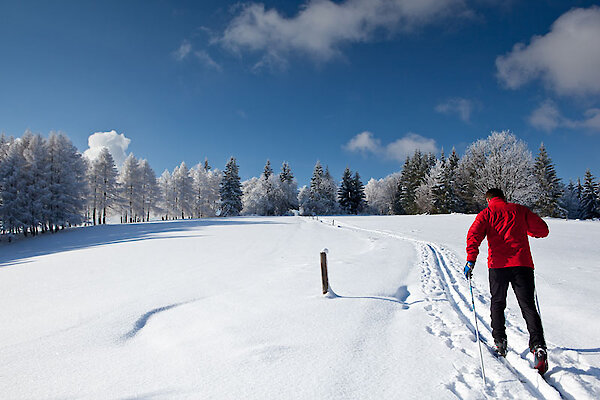 Langlaufen im Bayerischen Wald